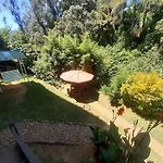 Forest View Rest Nuwaraeliya