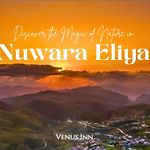 Venus Inn Nuwara Eliya