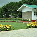 The Olivine Villa