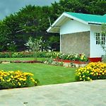 The Olivine Villa