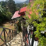 Redwood Inn