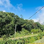 Mist Haven Villa Only For The Local Guests