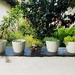 D Hearts Home Stay , Nuwara Eliya