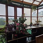 Carnation Rest