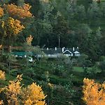 Scottish Planter Bungalow- Thema Collection