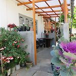 Carnation Rest