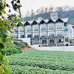 88Th Nuwara Eliya