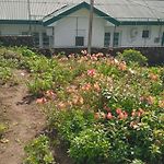 Frosty Heaven Guest House