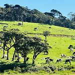 The Cottage Ambewela - Discover Horton Plains & Ella Train Journey
