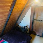 Puremind Cabin