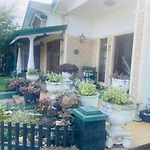 Serene Max Bungalow
