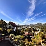 Shiny View