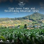 Cabin 7000 Feet - A Cozy Mountain View Retreat In Nuwara Eliya
