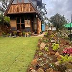 Sailor\'S Cabin