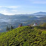 Single Tree Hotel Nuwara Eliya.