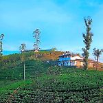 Tranquil Ridge Hilltop Bungalow