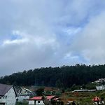 Little House