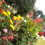Elysian Hills Heritage Bungalow In Nuwara Eliya