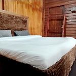 Shiny Cot - Nuwaraeliya