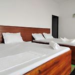 Shiny Cot - Nuwaraeliya