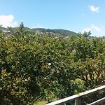 Cool Palace - Nuwara Eliya