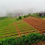The Cozy Cabins Nuwara Eliya