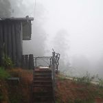 Rainfrorest Edge