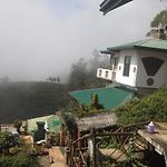 Misty Mountain Villas