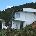 Mount View Cottage