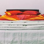 Standard Double Room - Vishmis Rest Nuwara Eliya