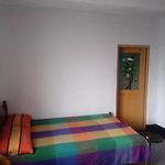 Salsburry Holiday Resort Nuwara Eliya