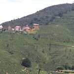 Royal Forest Villa