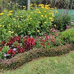 Kings Cottage Nuwara Eliya