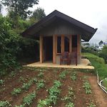 Misty Villa