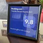 Hummingbird Hill *
