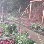 Homestay Woods Hut *