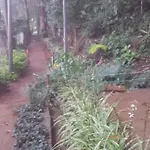 Homestay Woods Hut *