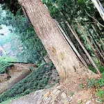 Kithul Apartment Nuwara Eliya