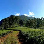 Apartment Kithul Nuwara Eliya