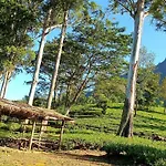 Kithul Apartment Nuwara Eliya
