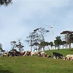 Nikola Hills