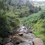 Homestay Woods Hut *