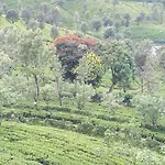 Woods Hut Nuwara Eliya