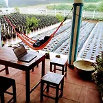 Vibe Way Guest house Nuwara Eliya