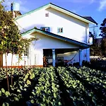 Vibe Way Guest house Nuwara Eliya