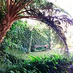 Vibe Way Guest house Nuwara Eliya