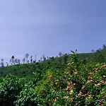 Shirin1892 Nuwara Eliya