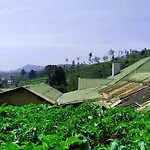 Shirin1892 Country house Nuwara Eliya