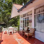 Woods Hut