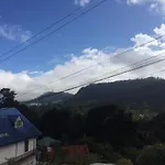 Max Mount View